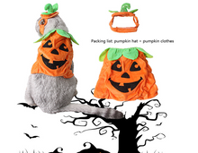 Load image into Gallery viewer, Costume Halloween pour chat
